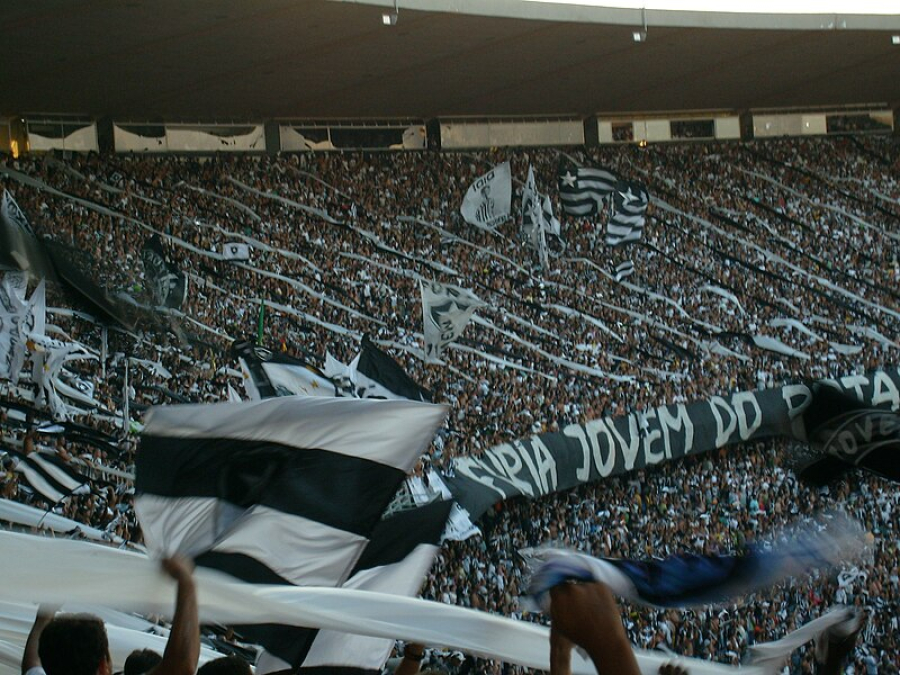 Torcedores preferem Botafogo do que Palmeiras campeão do Brasileirão